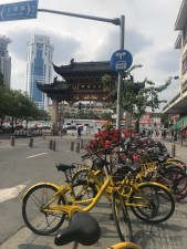 Dockless bike-share bicycles parked in Shanghai. Photo: Meghan McCloskey Boydston