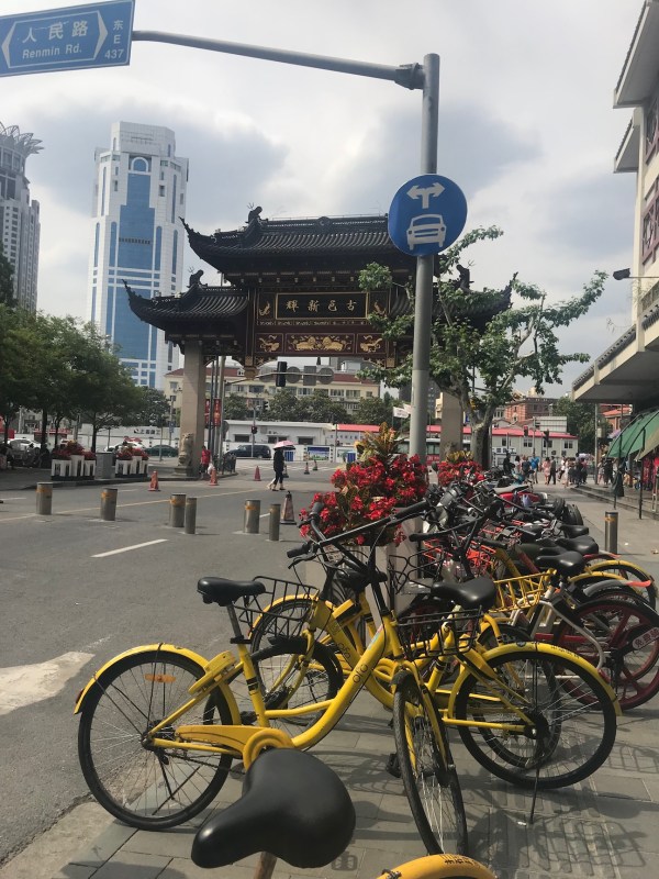 Dockless bike-share bicycles parked in Shanghai. Photo: Meghan McCloskey Boydston
