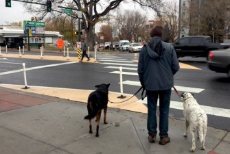 As a part of its Vision Zero commitment, Denver installed paint and plastic posts to create a median and curb extensions to increase safety at the intersection of Colfax Ave., Park Ave., and Franklin St. Photo: David Sachs (file photo)